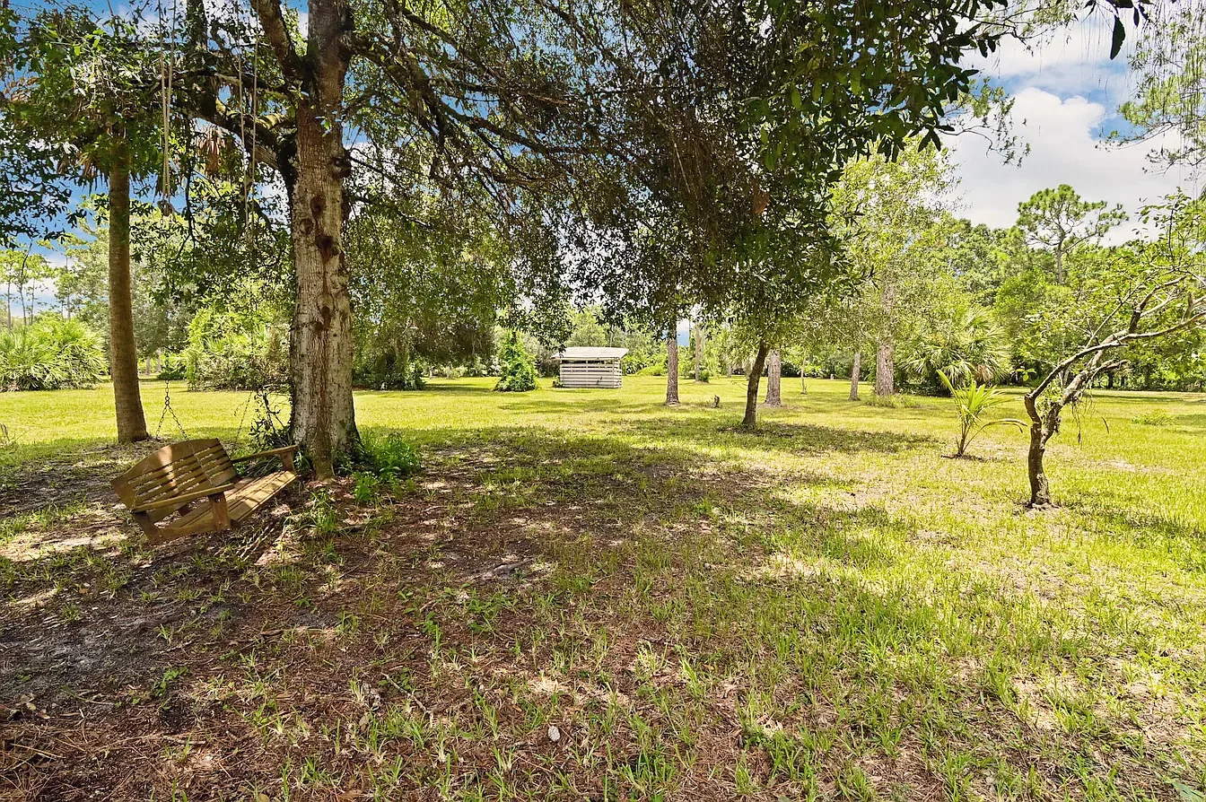 Mature oaks and palms over open grass, a wooden swing seat beneath a tree.