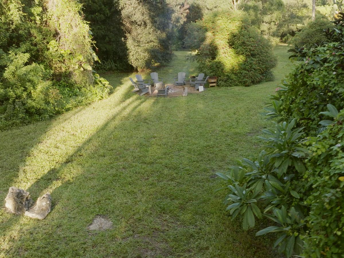 Open mown land under mature trees in early morning light.