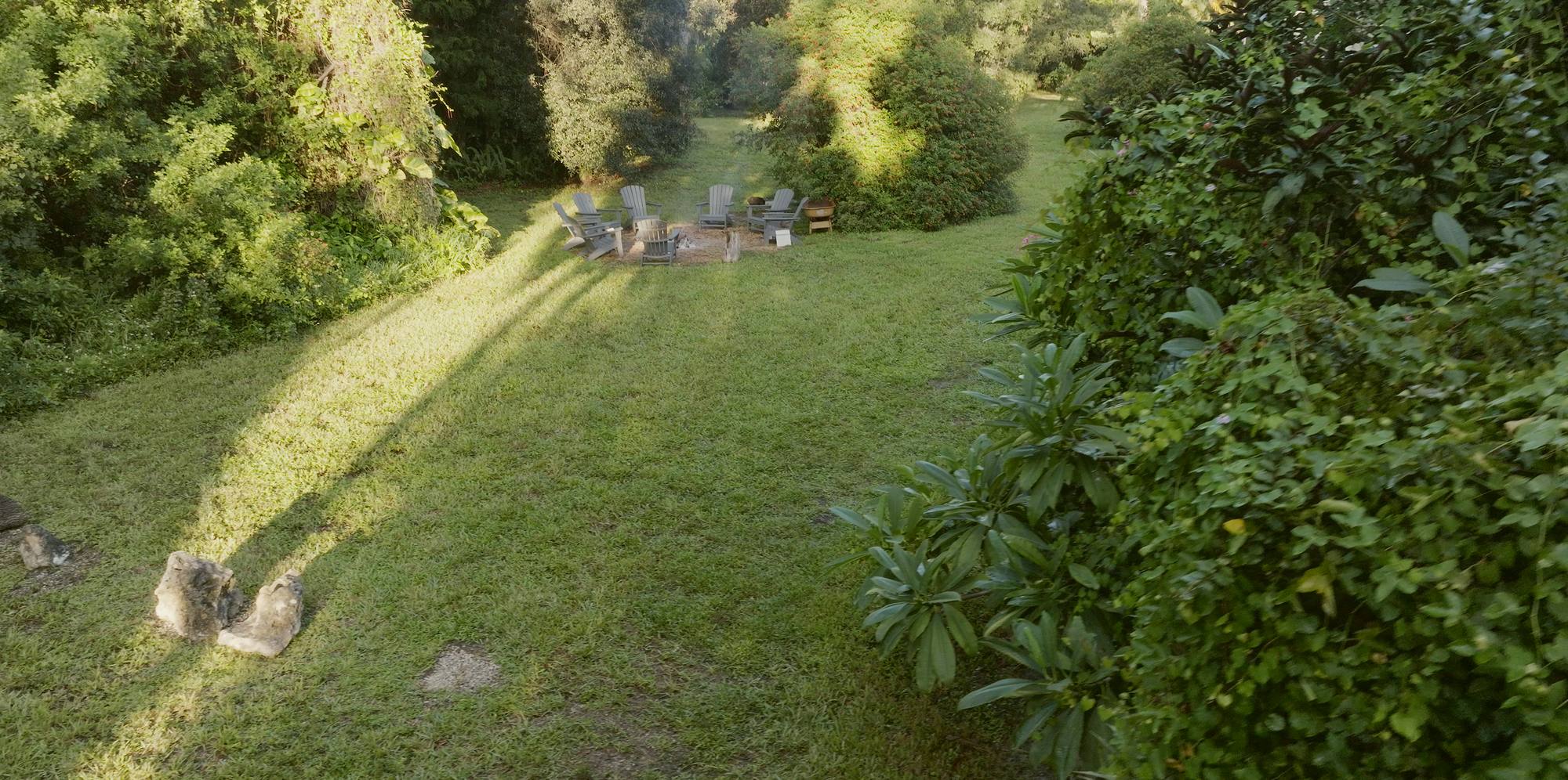Open mown land under mature trees in early morning light.