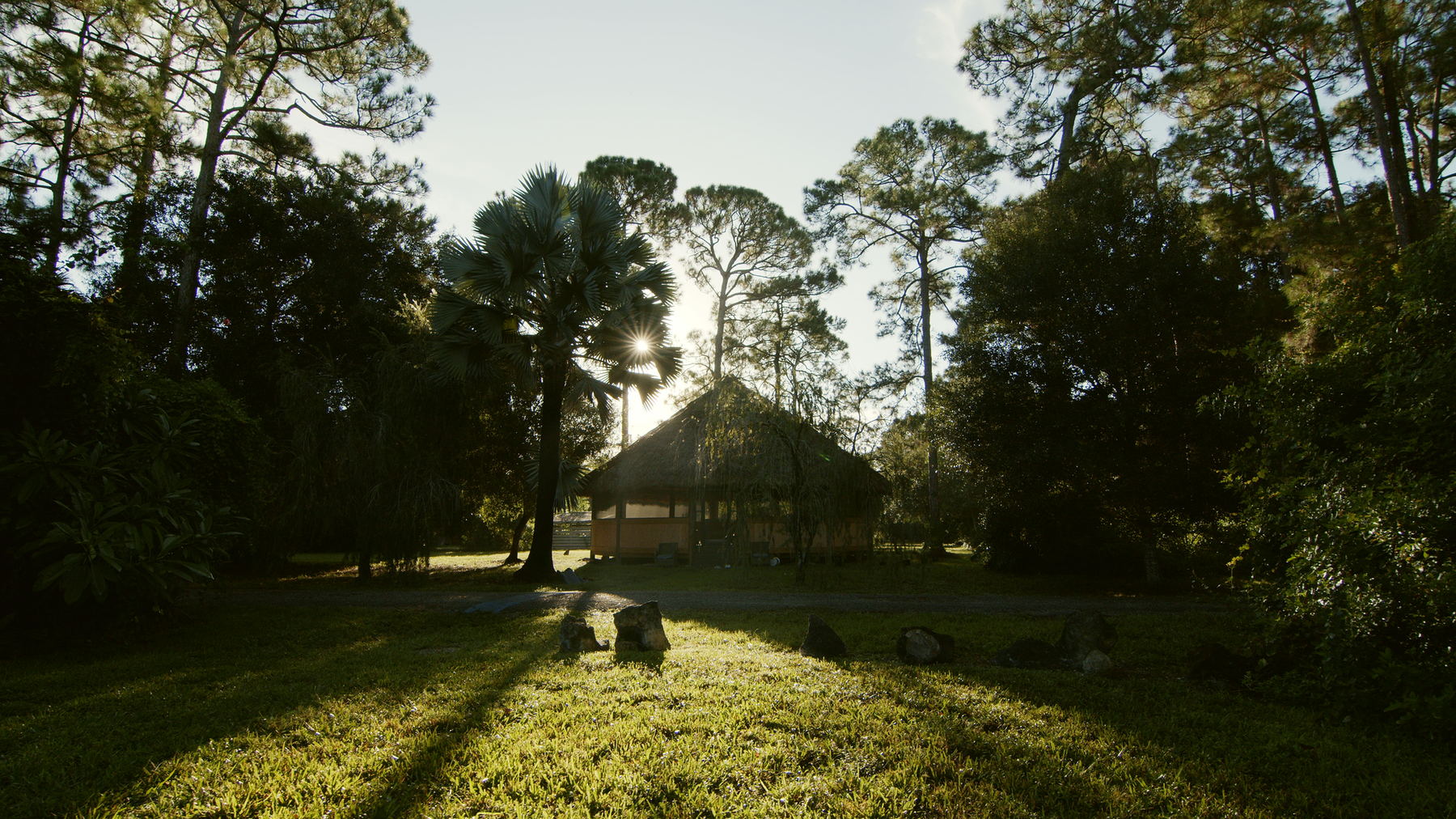 Early light across the grass, long shadows from the pines, the maloka small in the distance.