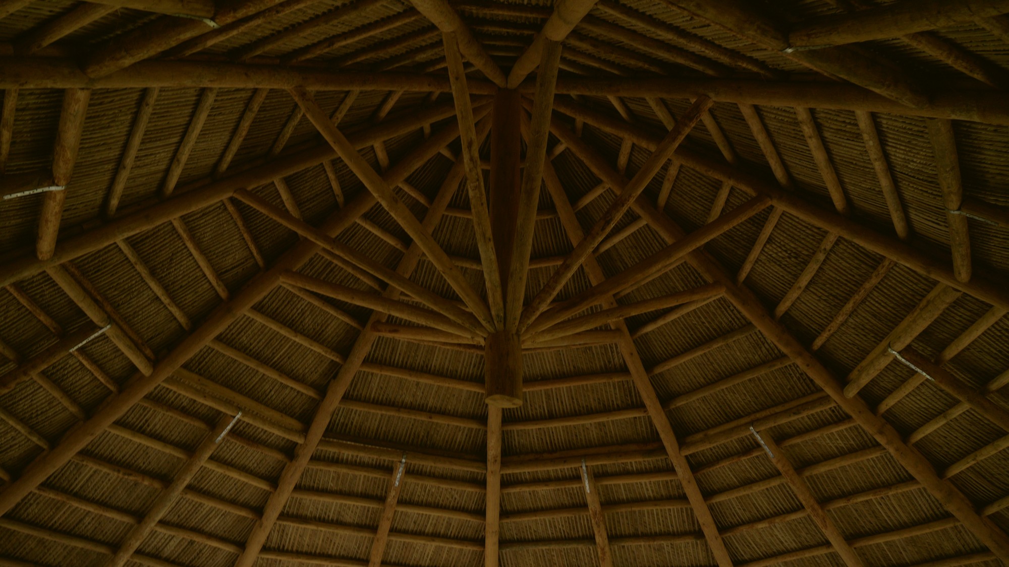 Looking up inside the maloka at the radiating timber frame beneath the thatch.